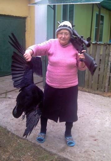 Re: Control de Cormoranes